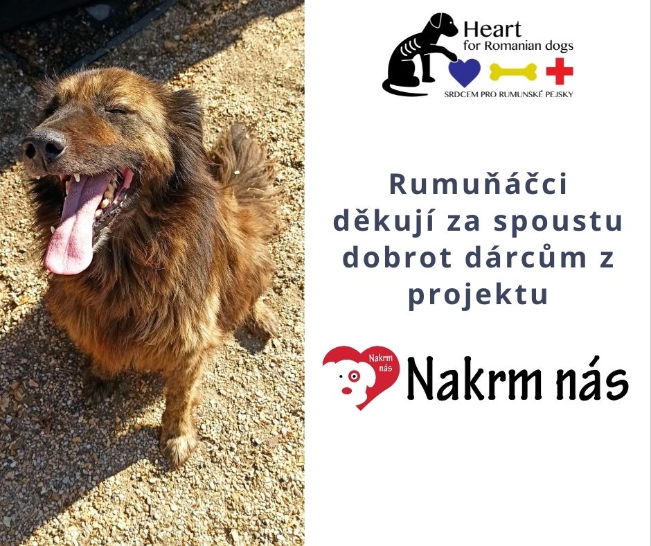 rumuncaci podekovani